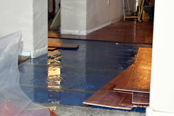 Professional Basement Flood Cleanup technician working in Riverton, IL